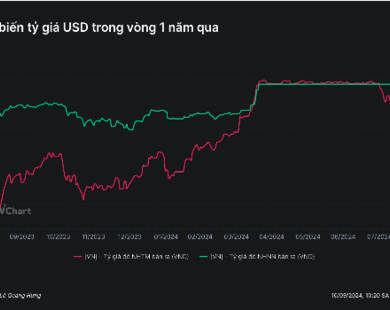 Ngân hàng Nhà nước giảm mạnh giá bán USD