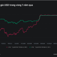 Ngân hàng Nhà nước giảm mạnh giá bán USD