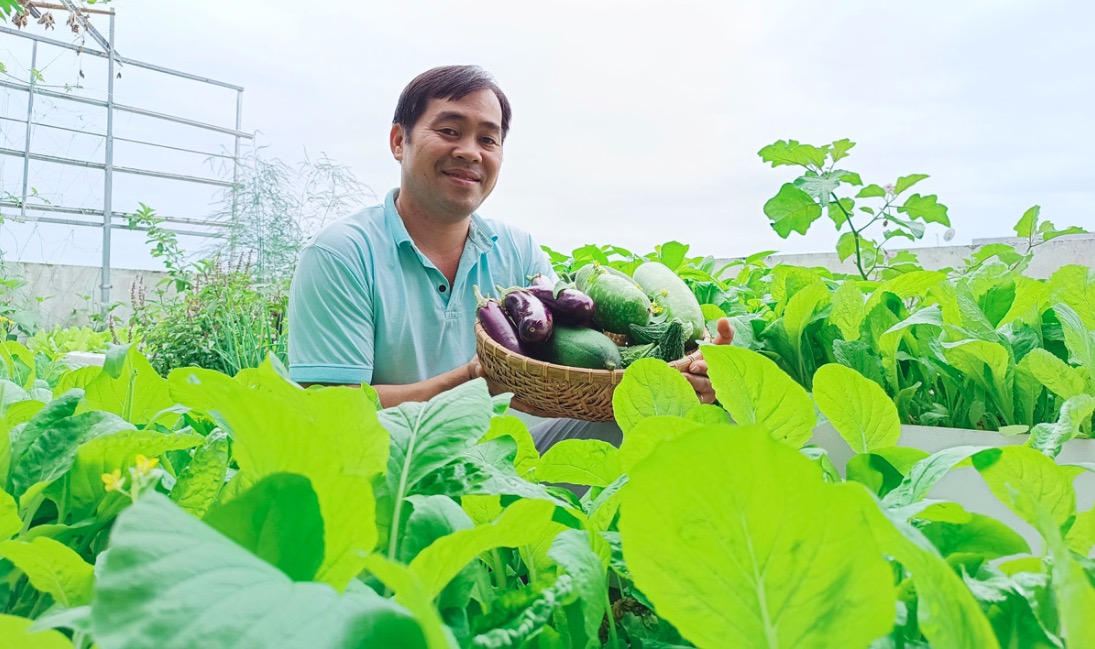 'Chợ' rau sạch trên vườn sân thượng