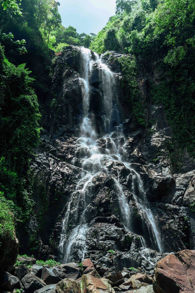 Nakhon Si Thammarat – Viên Ngọc Xanh đầy quyến rũ của Thái Lan hòa mình với du lịch thế giới